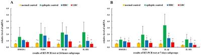 Conduction treatment of temporal lobe epilepsy in rats: the dose-effect relationship between current resistance and therapeutic effect